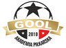 Akademia Piłkarska Gool