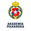 Akademia Piłkarska Wisły Kraków