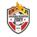 Akademia Piłkarska Żory