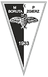 Miejski Klub Piłkarski Boruta Zgierz