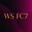 Agencja Piłkarska "WS FC7"