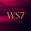 Agencja Piłkarska WS7