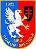 Akademia Piłkarska Pogoń Miechów