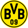 Akademia BVB im. Łukasza Piszczka