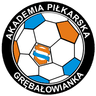 Akademia Piłkarska Grębałowianka