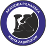 Akademia Piłkarska Kmita Zabierzów