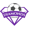Akademia Piłkarska Diamonds Rzeszów