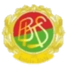 BKS ZGO Bielsko-Biała