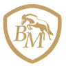 BM Horse