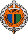 Chrobry Głogów