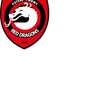Red Dragons Pniewy