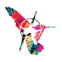 Gimnastyka Powietrzna School