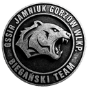Gorzowskie Stowarzyszenie Sportu i Rekreacji