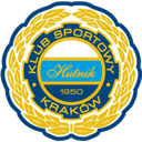 Akademia Piłkarska Hutnik Kraków