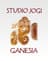 Joga Hanna