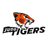 Judo Tigers