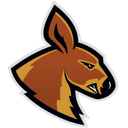 Klub Koszykówki Kangoo Basket