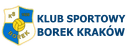 Klub Sportowy Borek