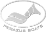 Pegazus Boats
