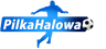 Piłka halowa