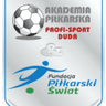 Fundacja Piłkarski Świat