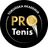 Toruńska Akademia PRO Tenis