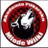 Akademia Piłkarska Młode Wilki Lubenia