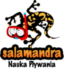 Salamandra nauka pływania