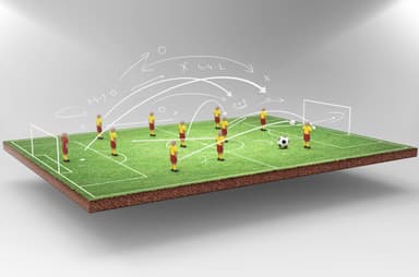 Fantasy Liga. Które rozgrywki wybrać?