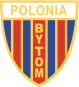 Akademia Piłkarska Polonia Bytom