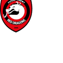 Red Dragons Pniewy