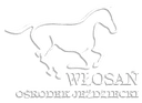 Ośrodek Jeździecki Włosań